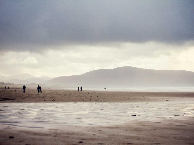 物流追踪<br>运单号批量查询与通知